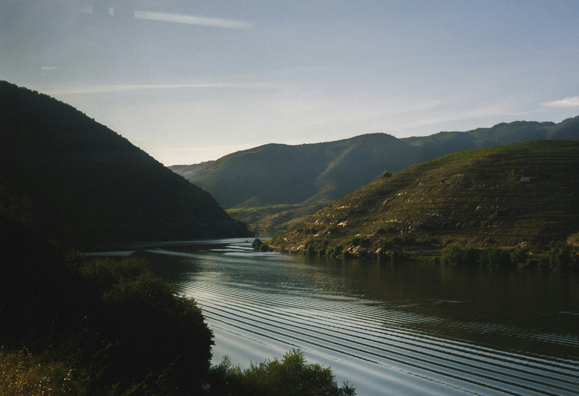 wijnterrassen van de Douro bij Pinhão in oogsttijd
